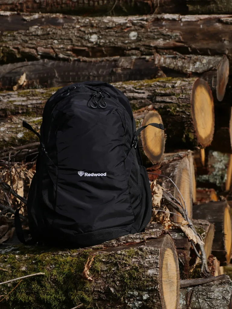 Viper 25L backpack in outdoor setting
