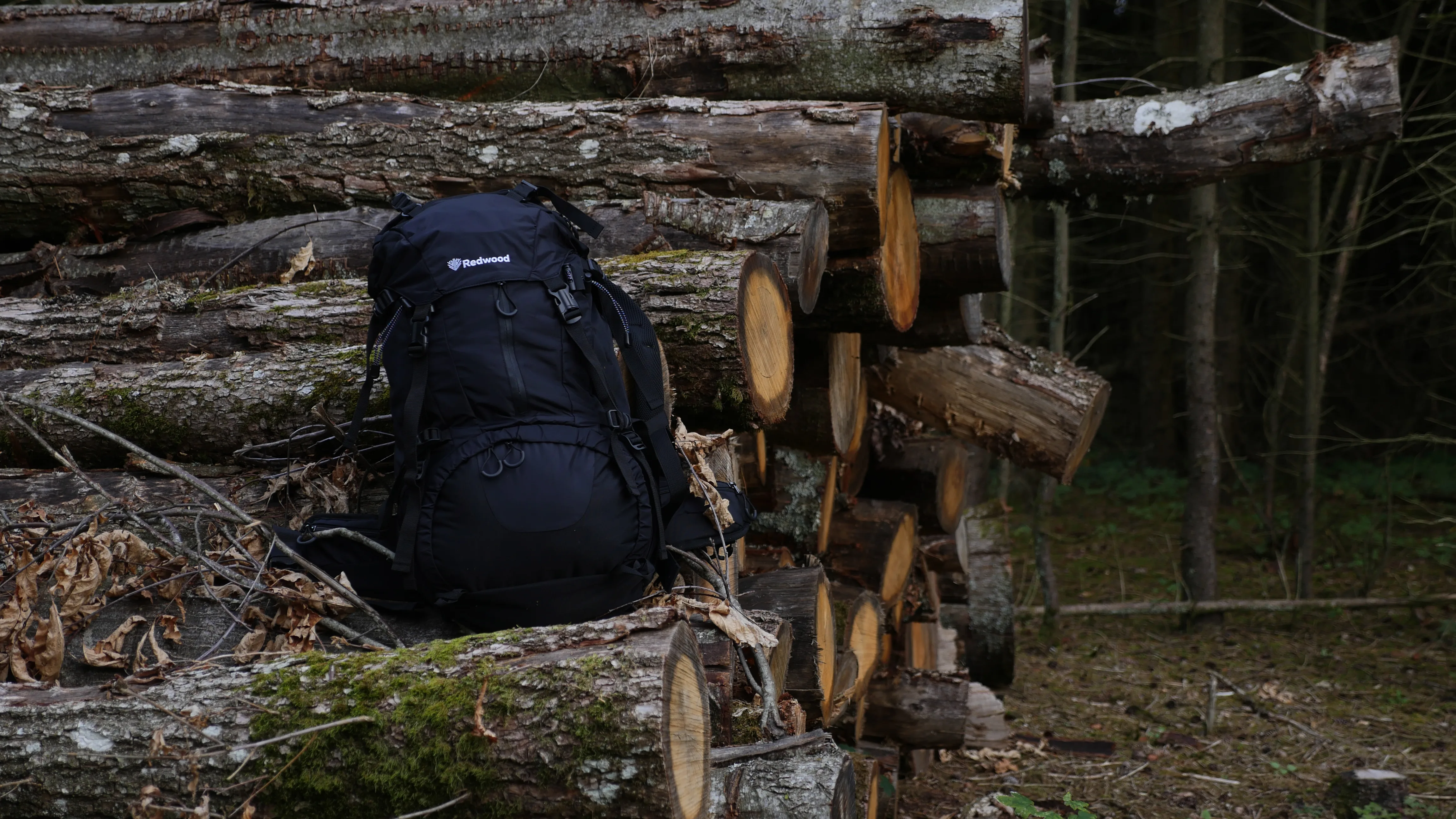 Wolf 40L field photo 1