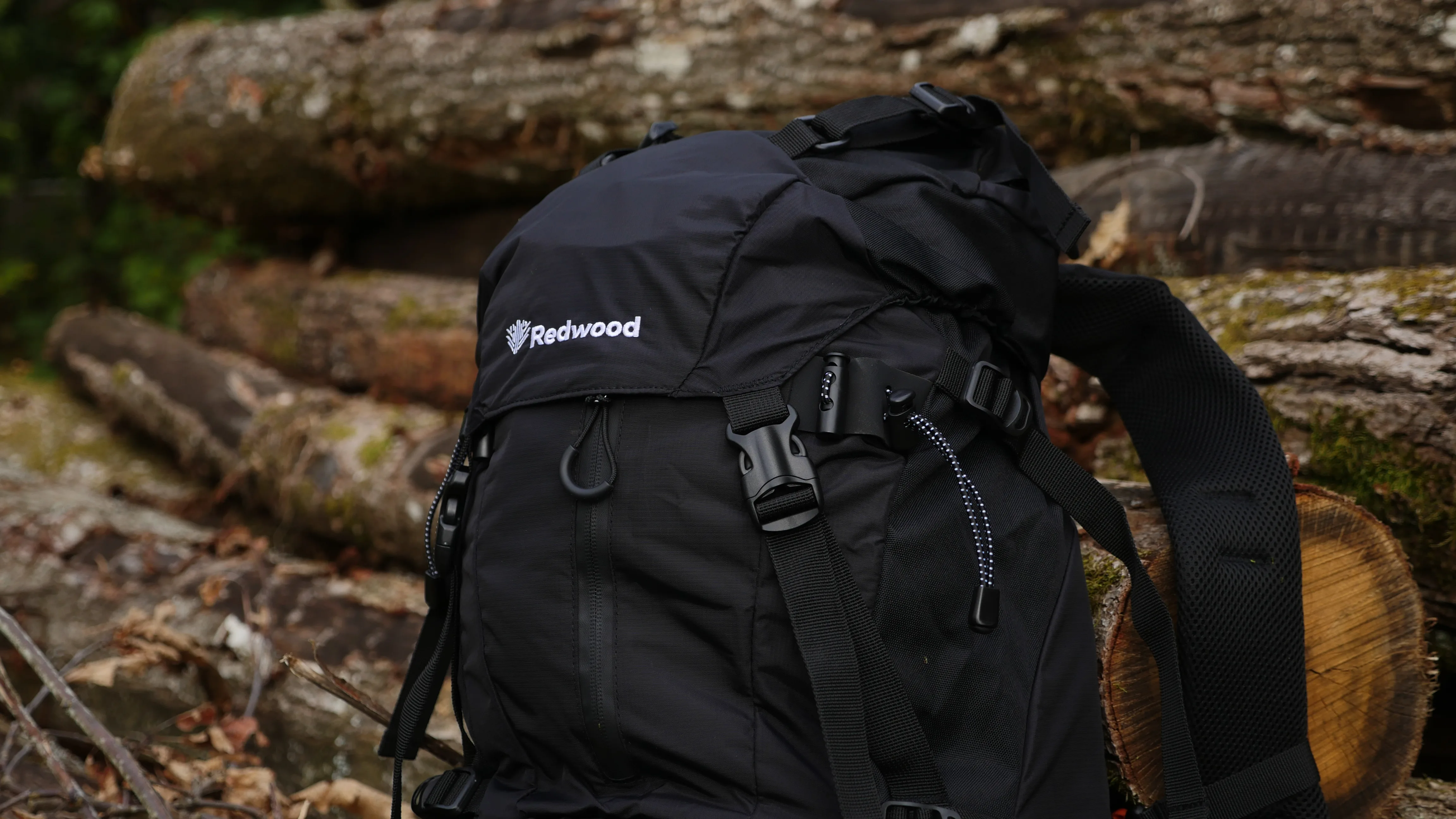 Pacific Northwest trail in soft morning light